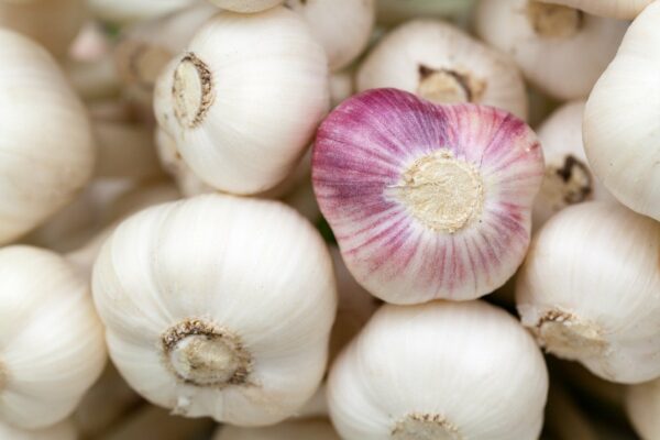 garlic, bulbs, vegetables