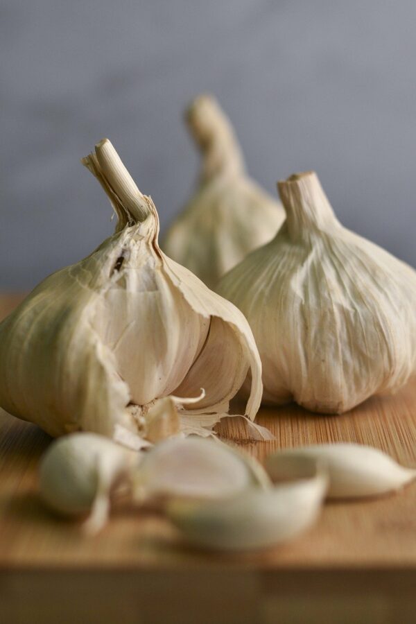 garlic, garlic clove, spice