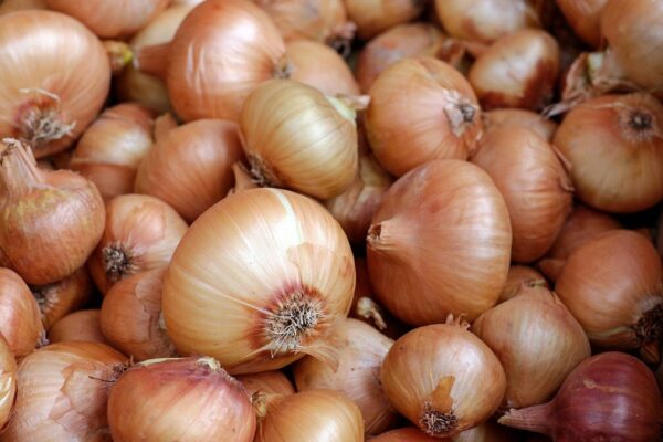 onions, vegetables, food