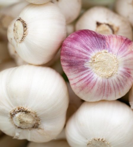 garlic, bulbs, vegetables