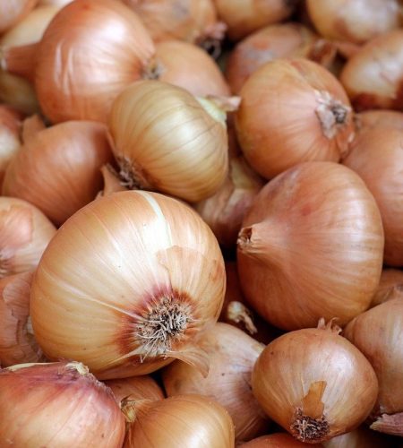 onions, vegetables, food